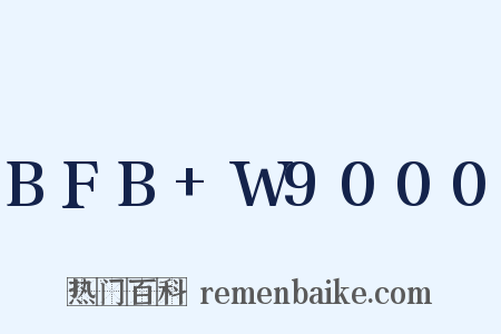 BFB W9000是什么意思的图片